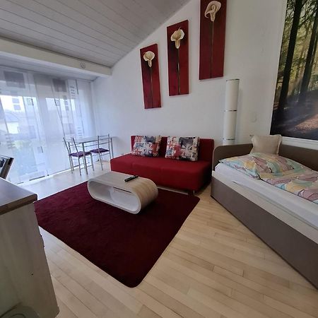 Exclusive Apartments Bietigheim-Bissingen Exteriér fotografie
